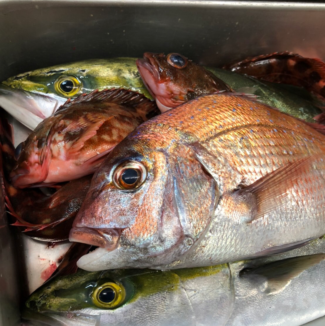 랑쿠jp 음식점-Saki의 대표이미지