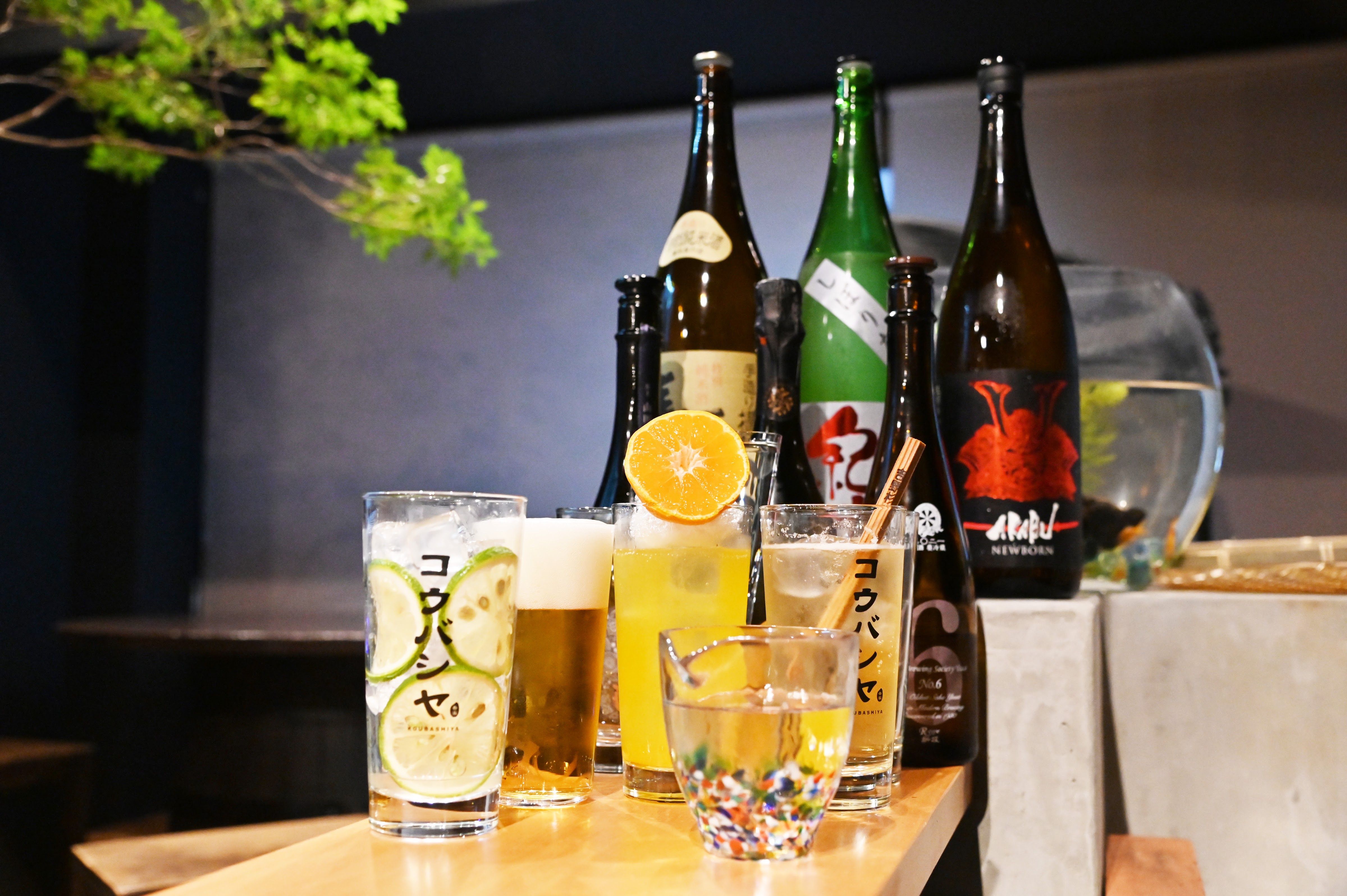 Izakaya Koubashiya Oitaekimaeten의 대표 이미지