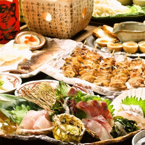 Tarumi Sumisyun의 대표사진