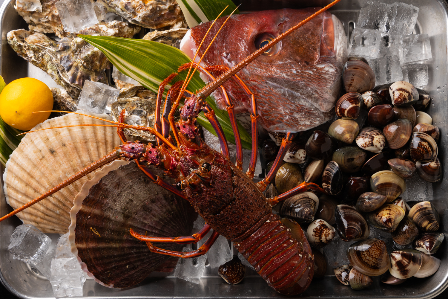 Uoichi의 대표사진