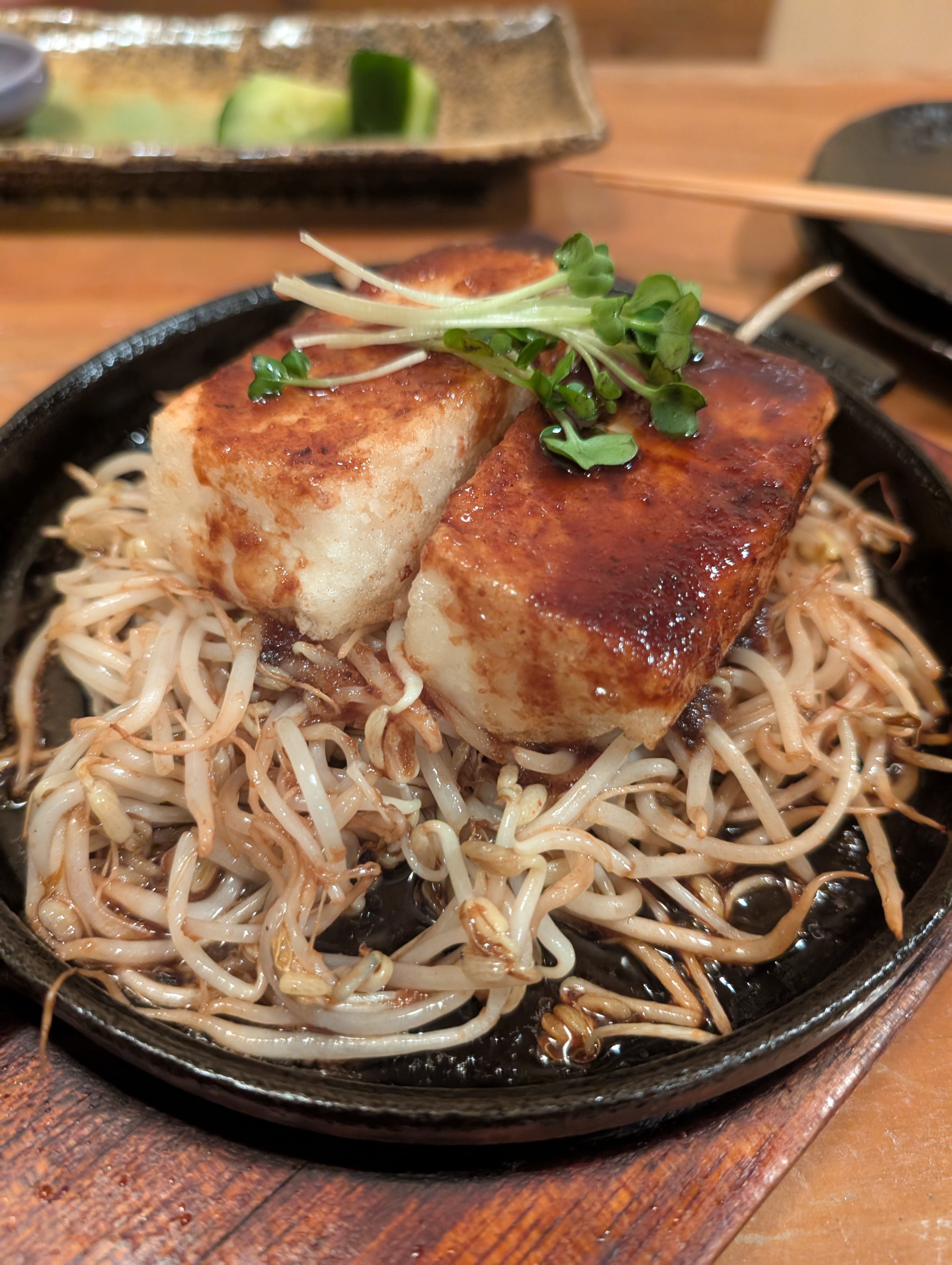 Tanuki의 대표사진