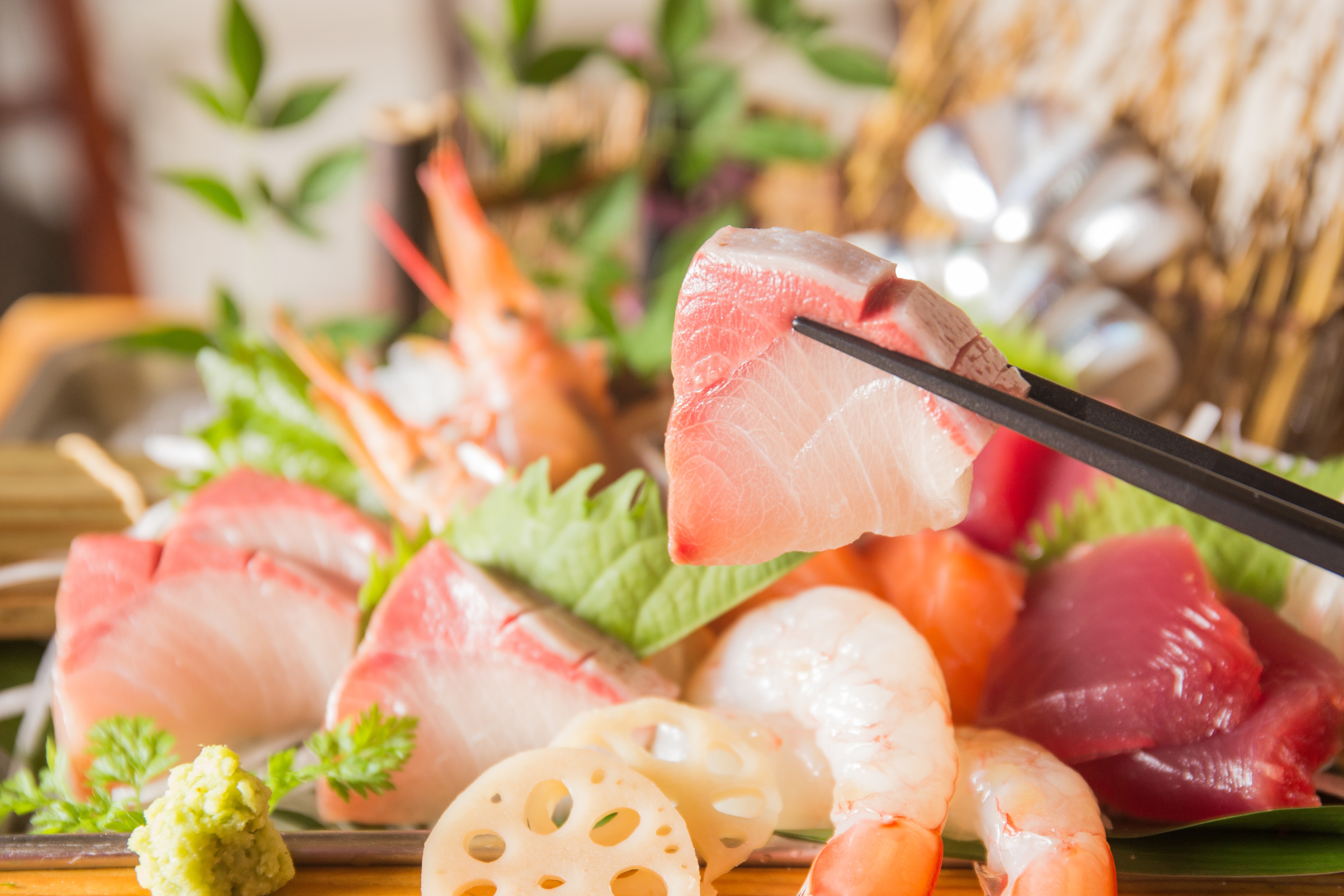 Nagashimatairikushokudo TAGIRUBA의 대표사진