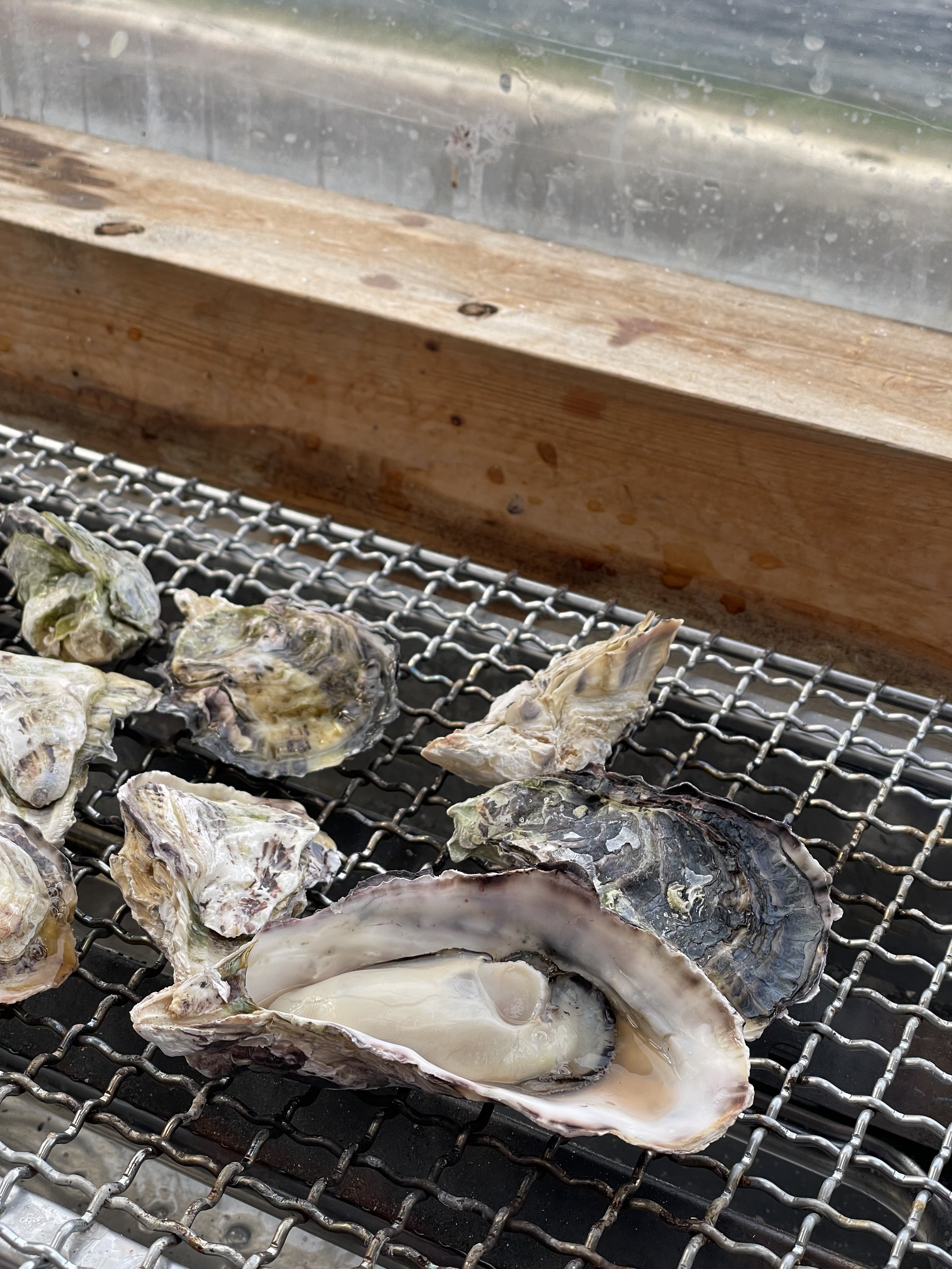 랑쿠jp 음식점-牡蠣小屋 海鮮ニコ丸의 대표이미지