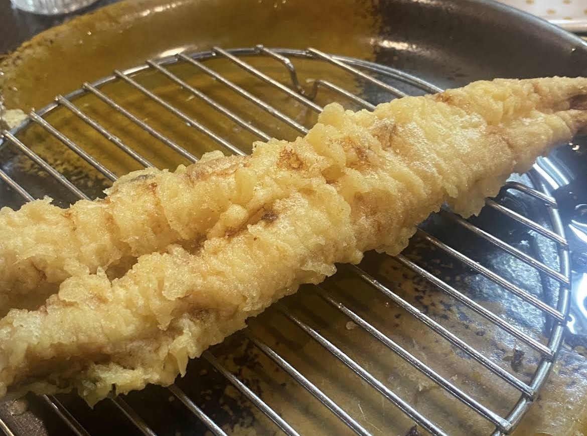 Matsuo의 대표사진