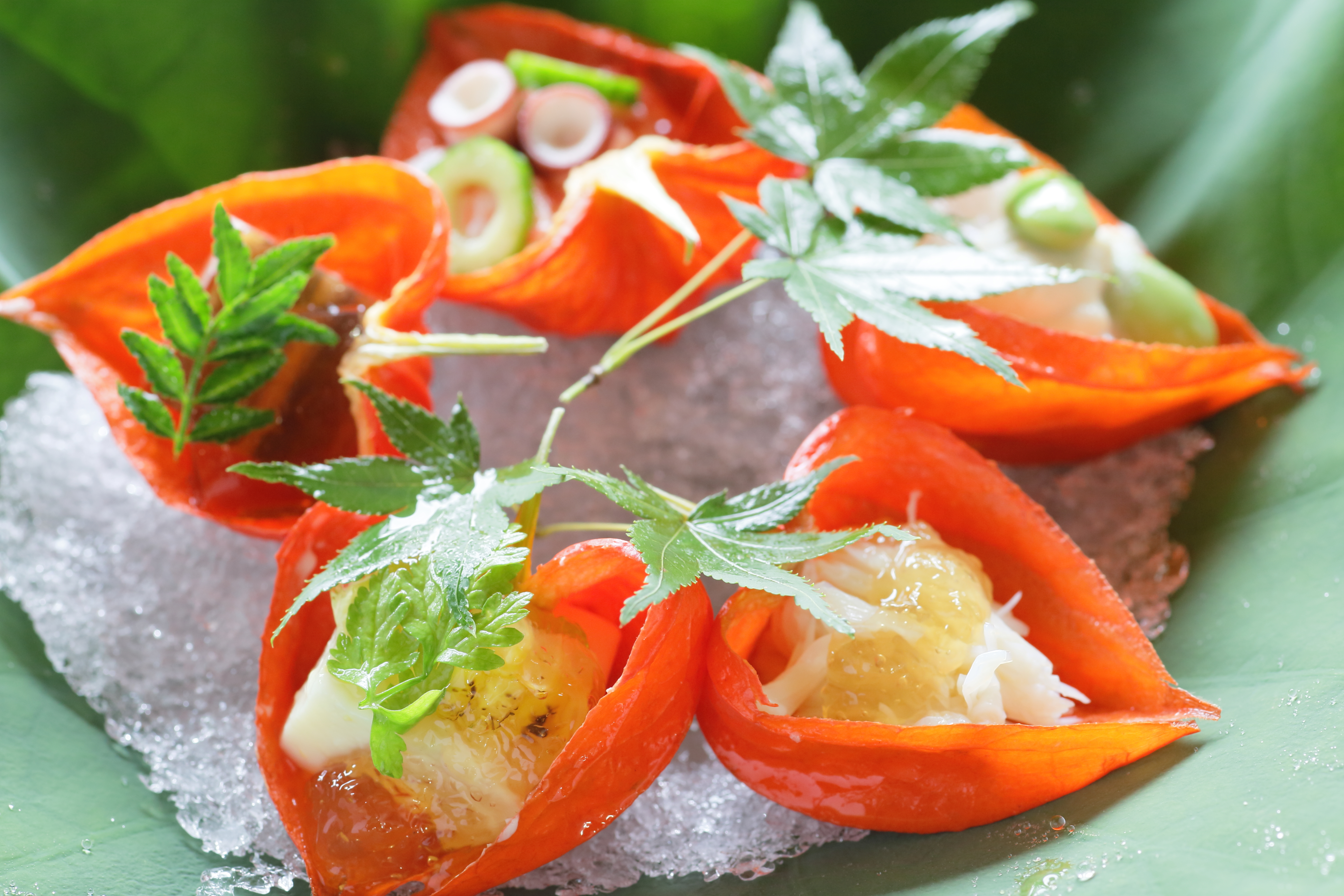 랑쿠jp 음식점-시모가모 사료 본점의 대표이미지