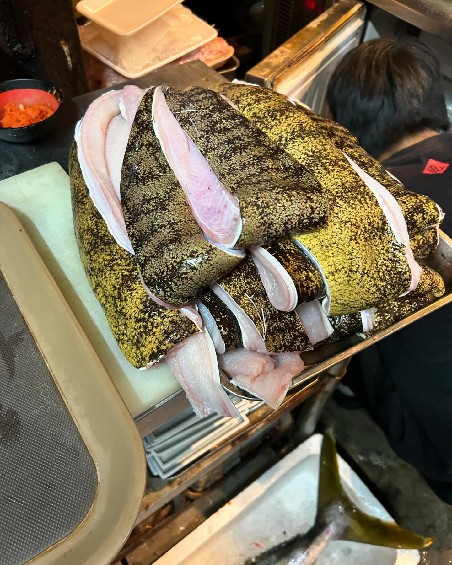 Uogen의 대표사진