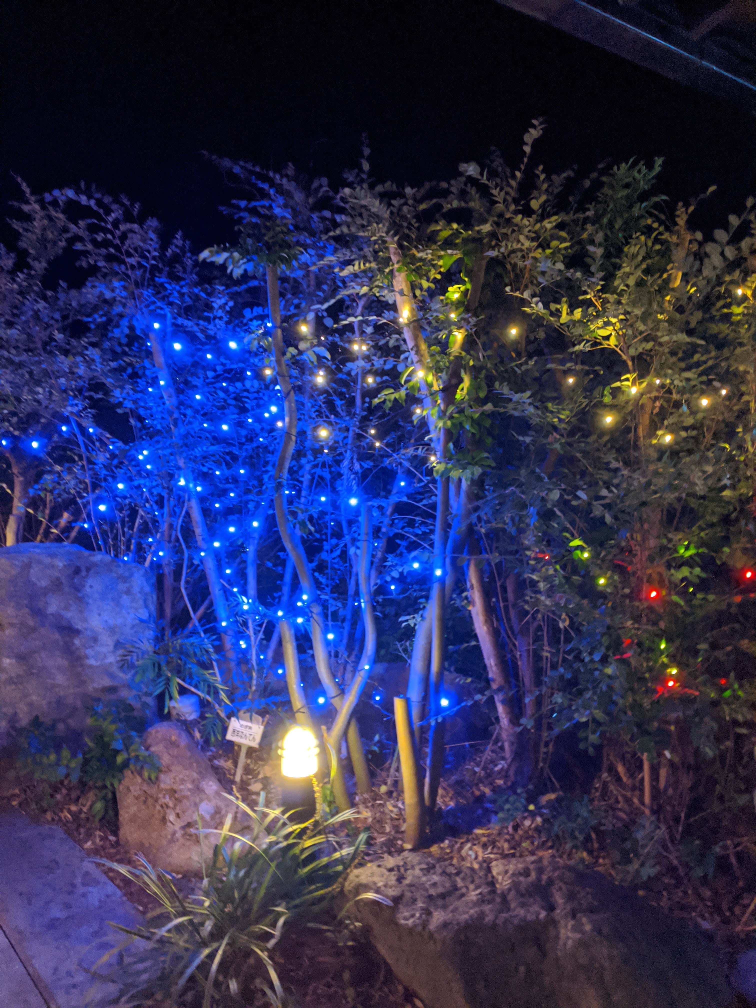 お食事処 菜の花의 대표사진