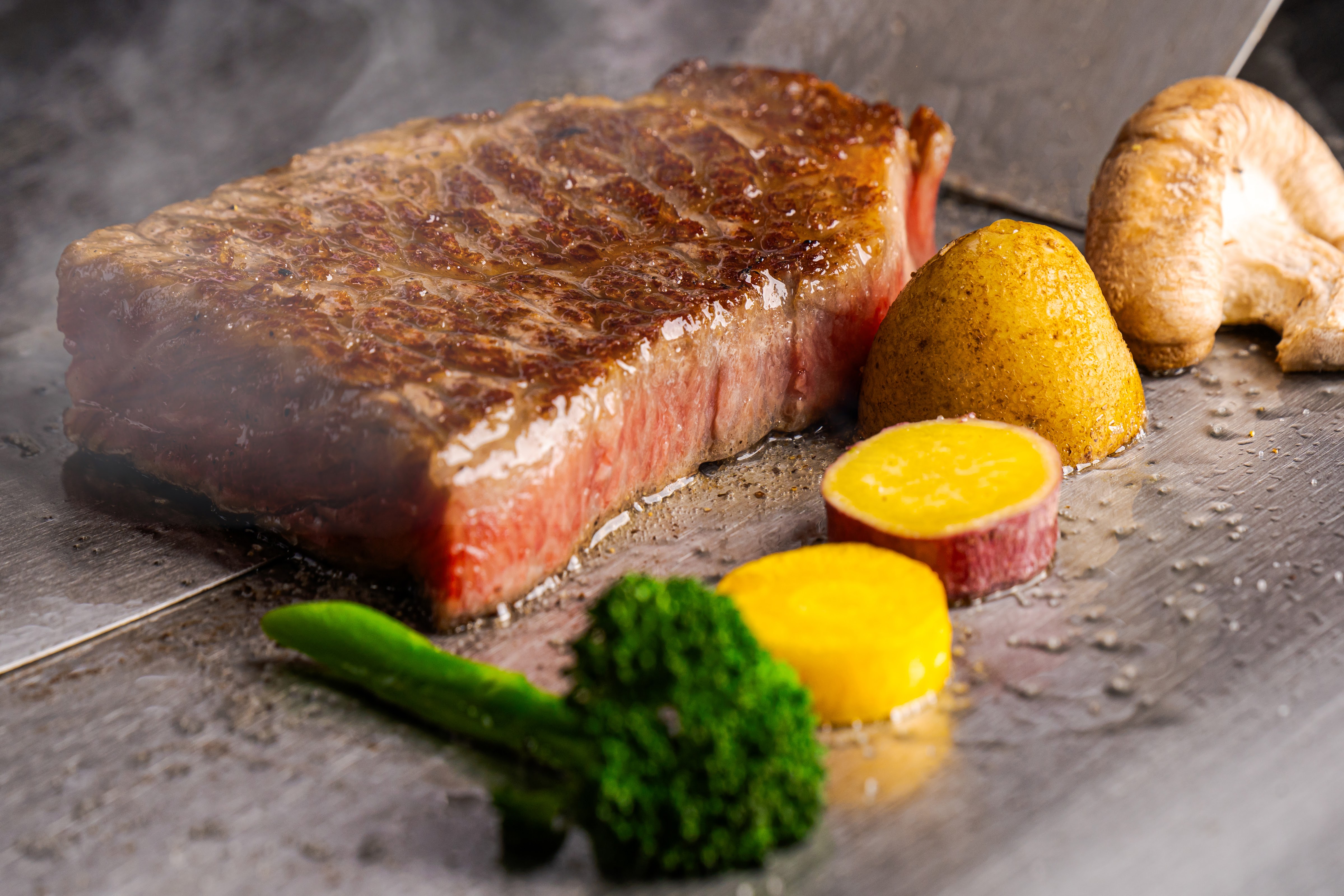 GRAND TRONC의 대표사진