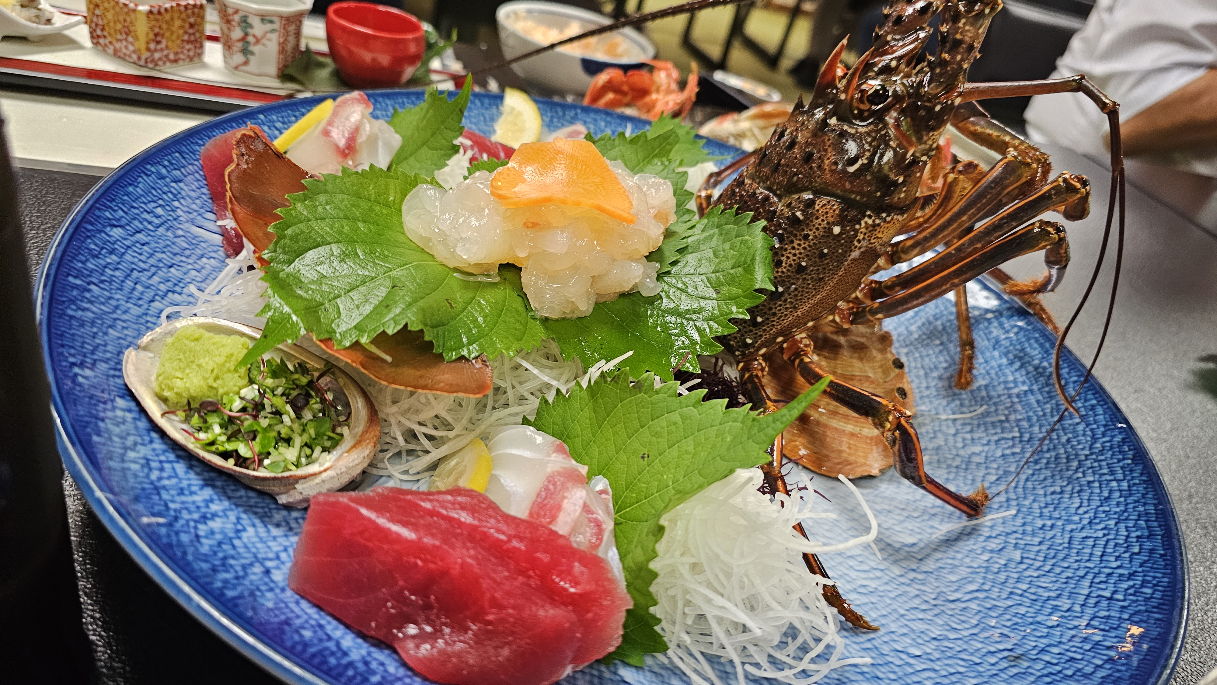 Sakanachan의 대표사진