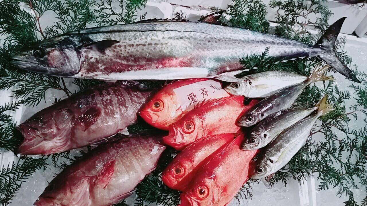 랑쿠jp 음식점-鮨きのすけ(Sushi Kinosuke)의 대표이미지