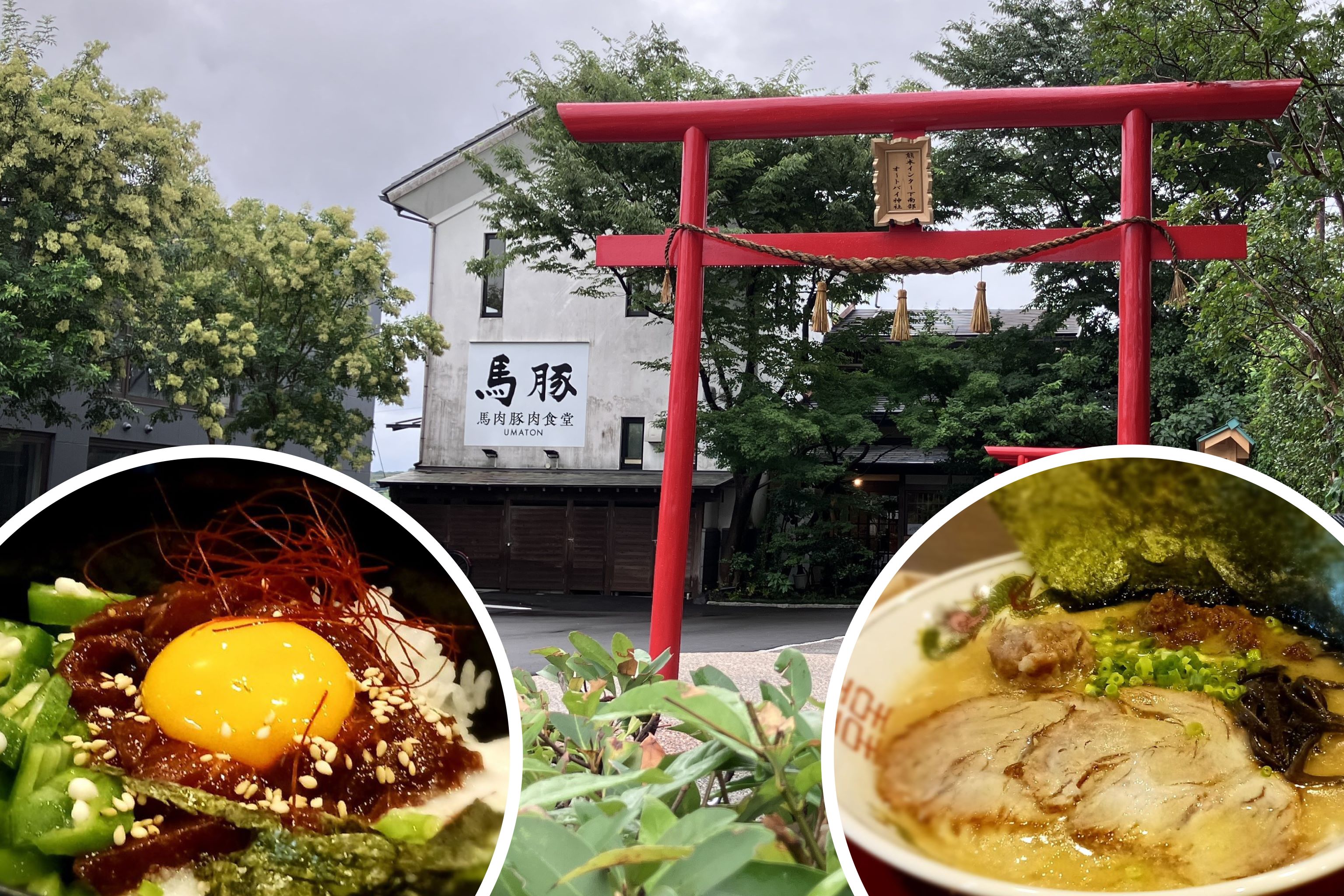 랑쿠jp 음식점-馬肉豚肉食堂 ＵＭＡＴＯＮ（うまとん）의 대표이미지