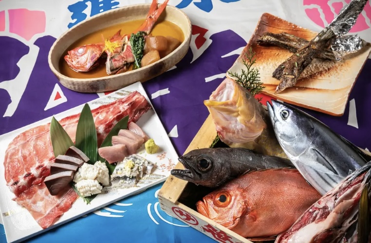 자코야의 대표사진