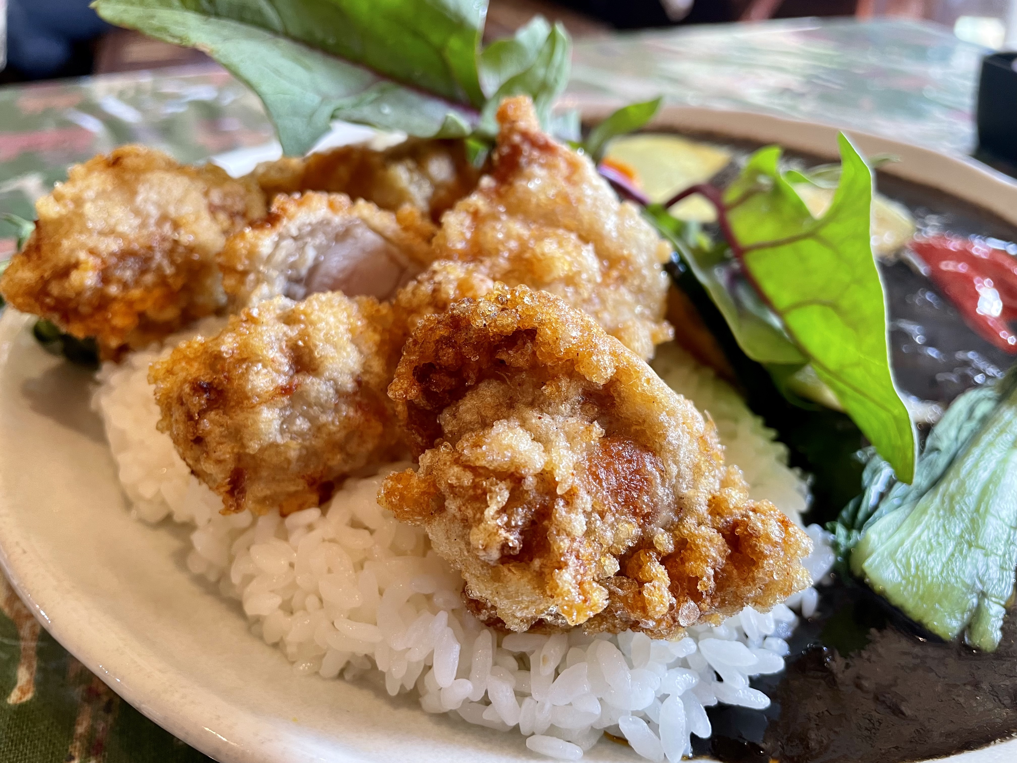 Kobayashi Curry의 대표사진