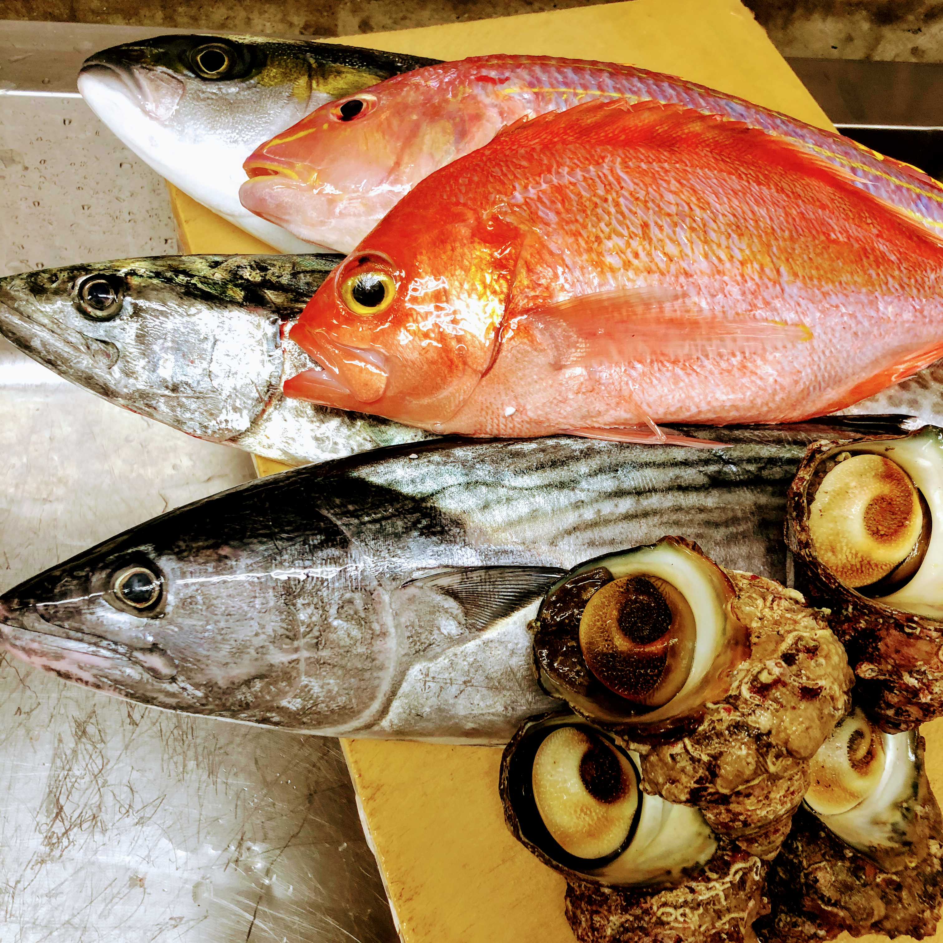 Sakana to Nihon no Osake Muku의 대표사진