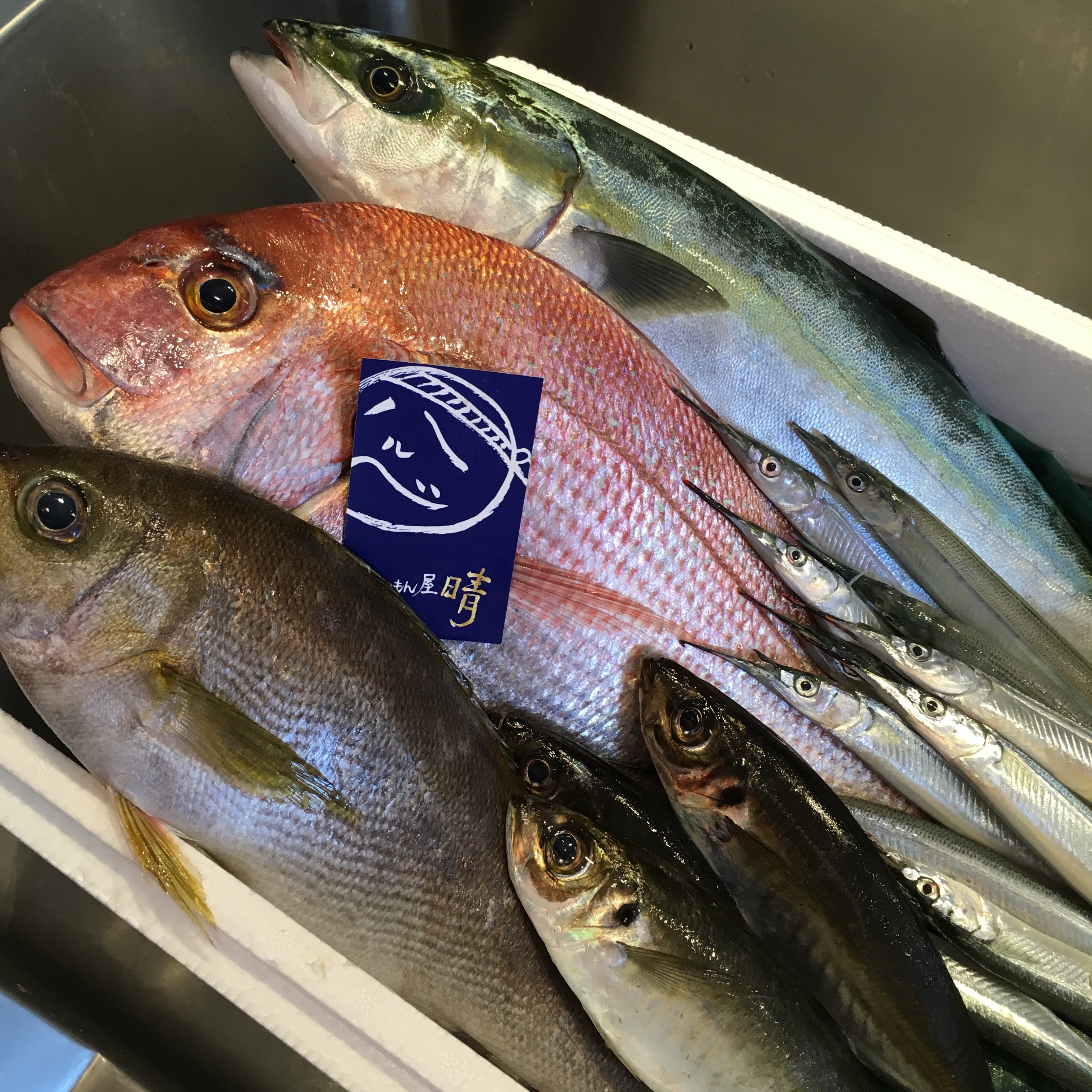 うまいもん屋 晴의 대표사진