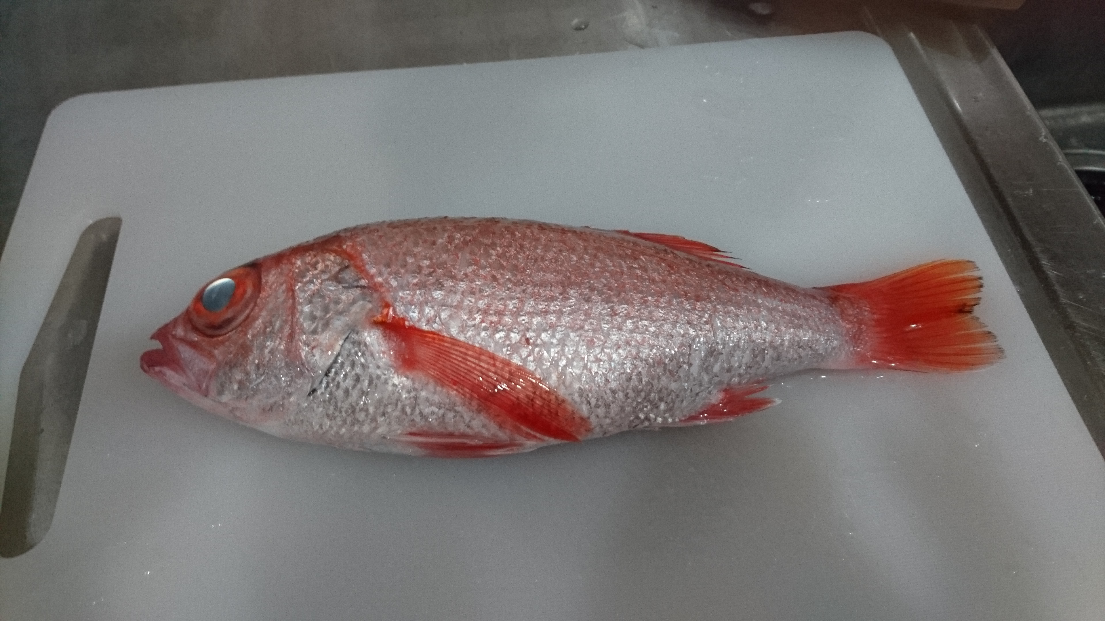 랑쿠jp 음식점-北野 NANA의 대표이미지